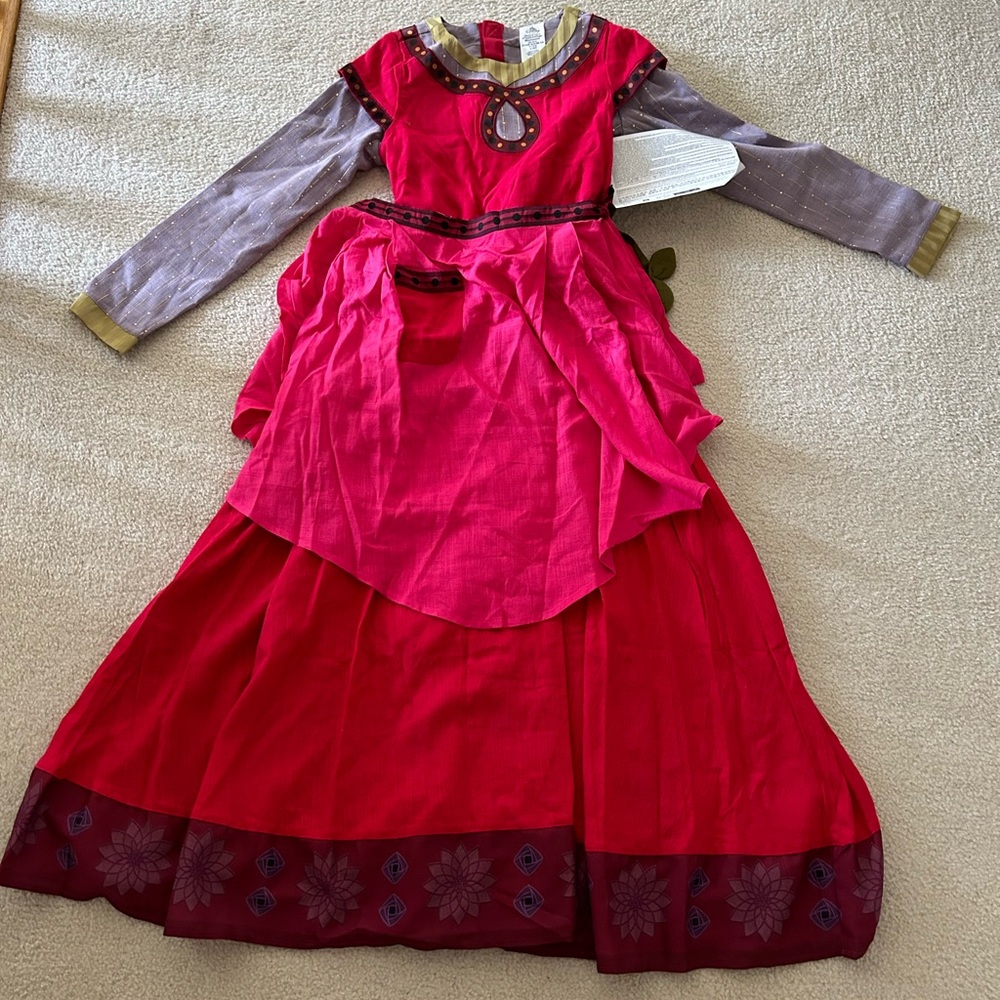 Disney Store deluxe dahlia costume dress wish size 13
